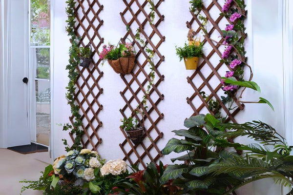 גדר אקורדיון מעץ לצמחים מטפסים ומחיצות