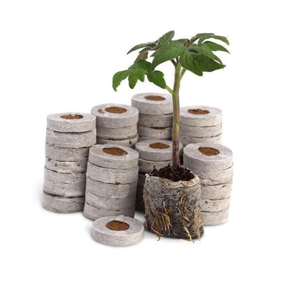 מצע להשרשה Jiffy