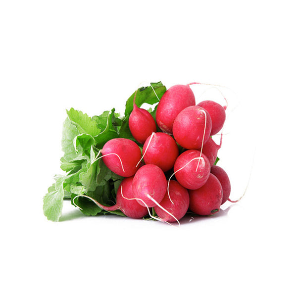 זרעי צנונית אדומה לגינת ירק