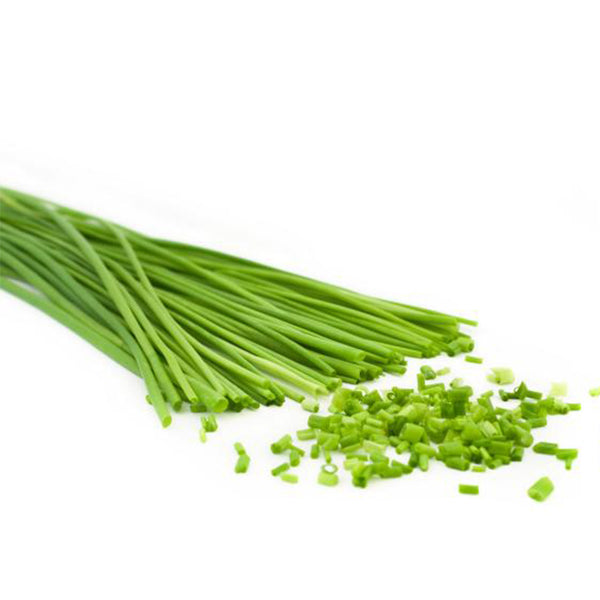 זרעי עירית להנבטה וגידול