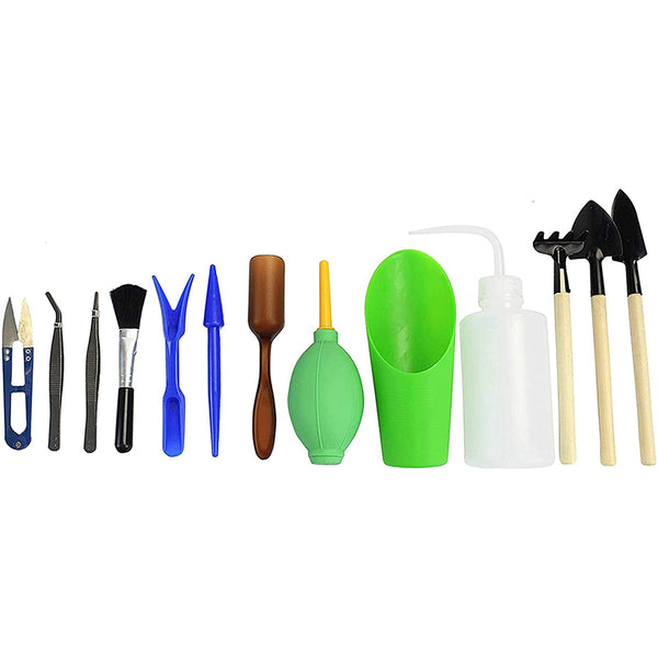 ערכה לגידול סוקולנטים