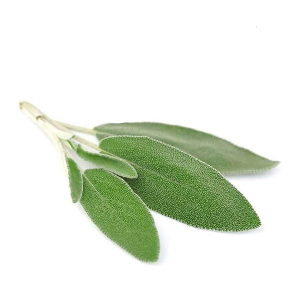 זרעי מרווה רפואית