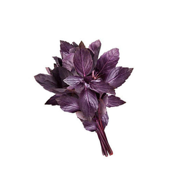 זרעי ריחן אדום