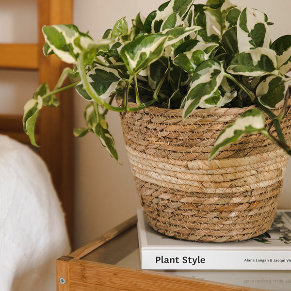 סלסלות קש שזור לעציצים