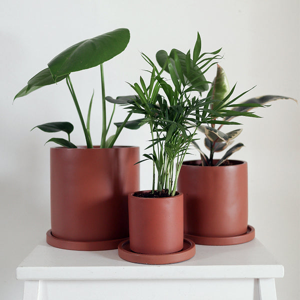 עציץ חרס צילינדר טרקוטה