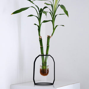 פלאנטר אגרטל לצמח ממתכת וזכוכית - UrbanPlanter