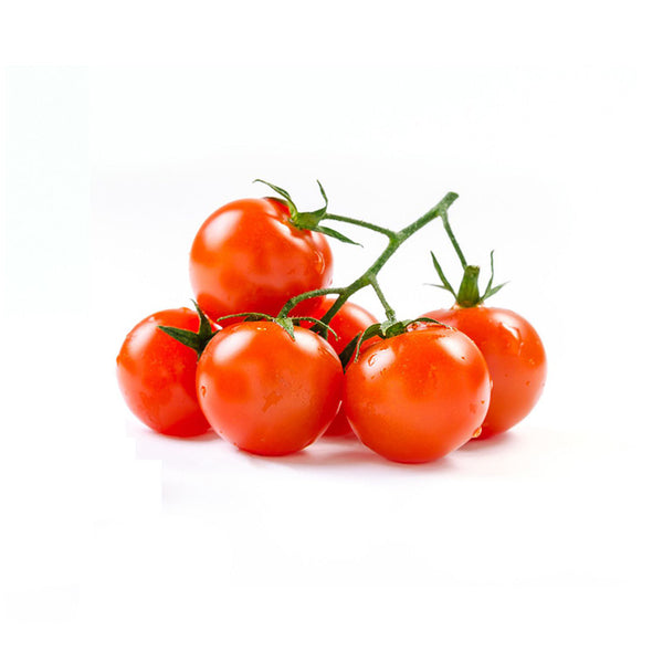 זרעי עגבניות שרי אורגניים