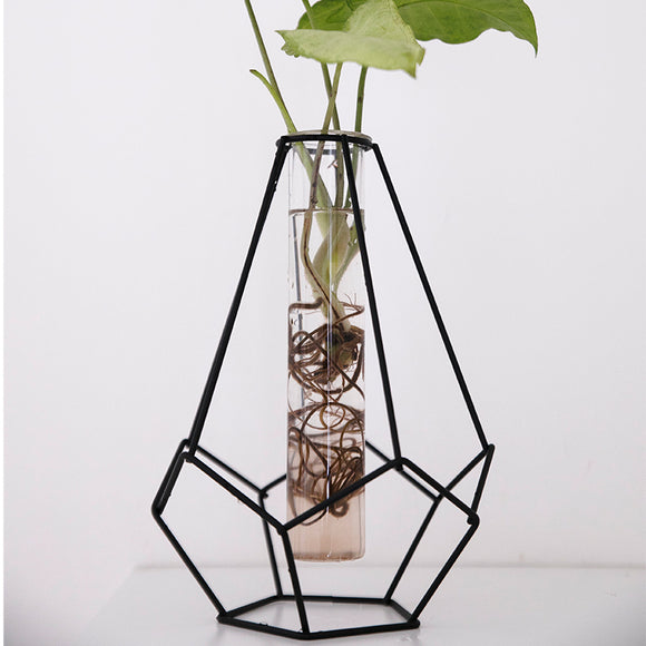 פלאנטר אגרטל גאומטרי שחור לצמח ממתכת וזכוכית - UrbanPlanter