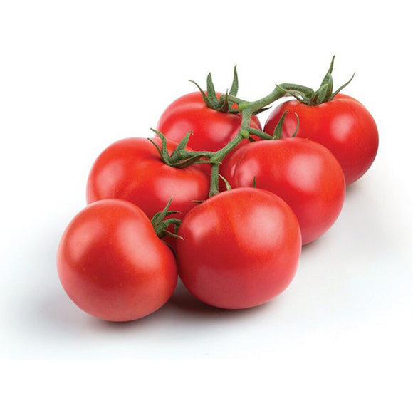 זרעי עגבניות אורגניים - UrbanPlanter