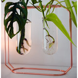 פלאנטר אגרטל זכוכית שולחני זוגי נחושת - UrbanPlanter