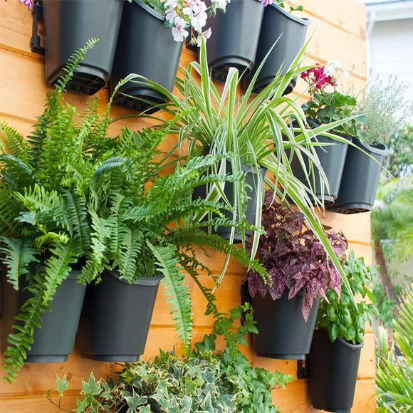 מערכת קיר ירוק מודרנית לצמחים - UrbanPlanter