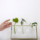 פלאנטר אגרטל שלישייה לצמחים ממתכת וזכוכית - UrbanPlanter
